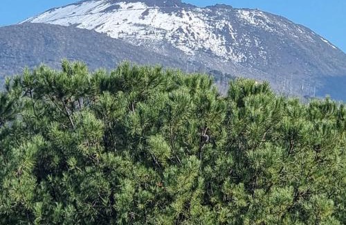 Ercolano Apartment | Casa vacanze VesuviusView