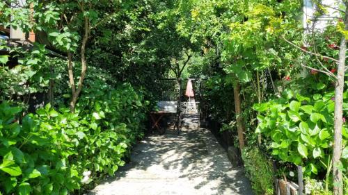 Villarrica House | Casa Villa Amanecer