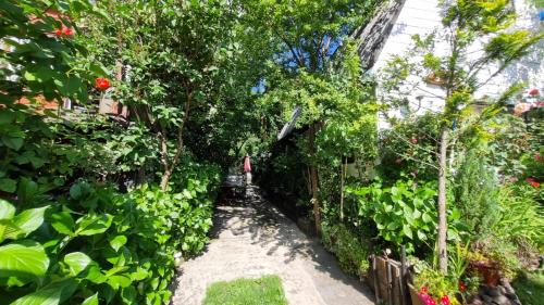 Villarrica House | Casa Villa Amanecer