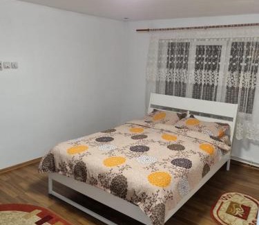 Sarmizegetusa House | Casa YMY