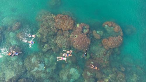 Isla Fuerte Hotel | CasaCoral Hotel