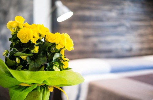 Santo Stefano di Camastra Bed & Breakfast | Casadada Bed and Breakfast