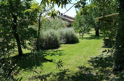 Ortonovo House | Casale Amati La Marchesa, ancient and fascinating oil mill between sea and hills.