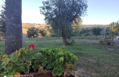 Montelupone House | Casale Colonico, ex Maneggio
