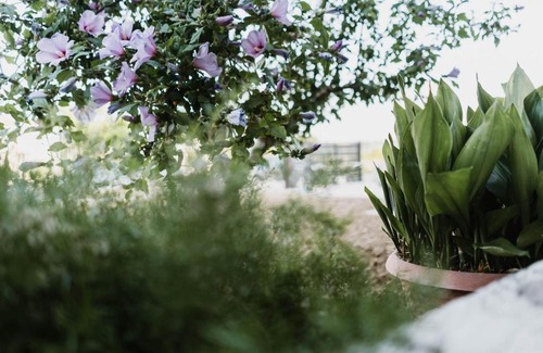 Casalbordino Bed & Breakfast | CASALMARE