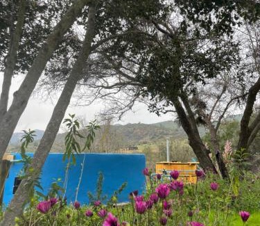 Casablanca House | Casapangue
