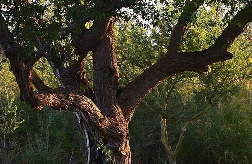 Ischilin Villa | CasaSana Wellness