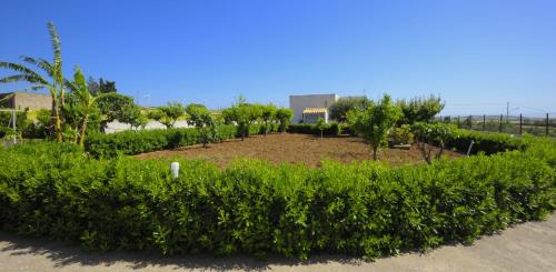Dattilo House | Casavacanza Dattilo