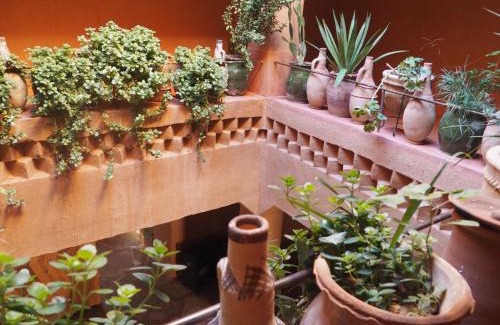 Boumalne Dades House | Casbah d'hôte La Jeanne Tourisme Ecologique