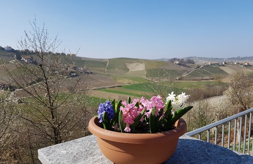 Castiglione Tinella Apartment | Cascina del Noce - Alba. Spacious apartment with exceptional views and pool