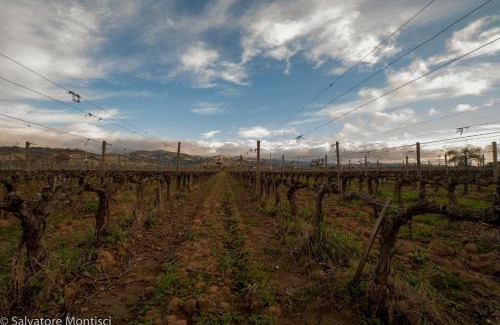 Donoratico House | Casetta Singola vicino al Mare