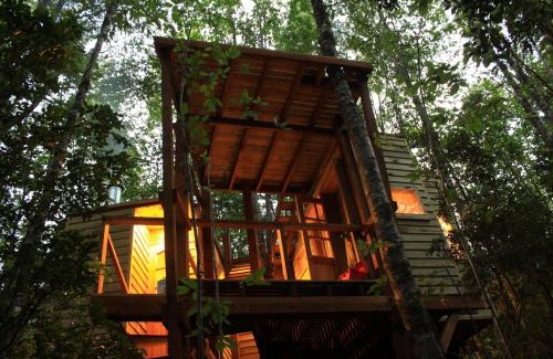 Futrono House | Casita Arbol