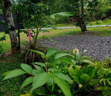 Florencia House | Casita Bohemia natural paradise