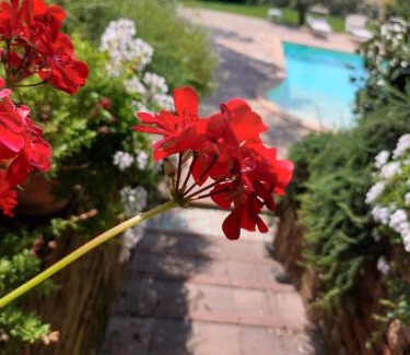 Corridonia Villa | Casolare della Quiete