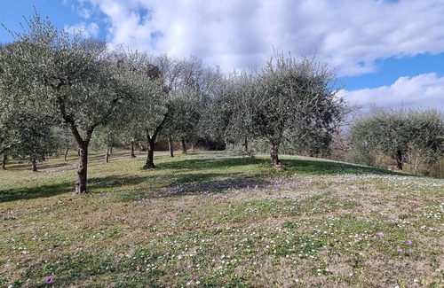 Santa Maria a Monte Apartment | Casolare Di Capilato