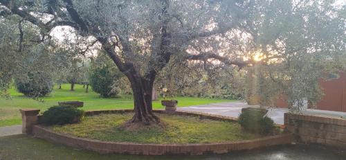 Chiesina Uzzanese House | Casolare L'Antico Olivo