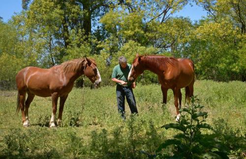 San Rafael Hotel | Casona 1905