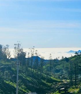Pykara Villa | CASSPO-Aurora in Ooty