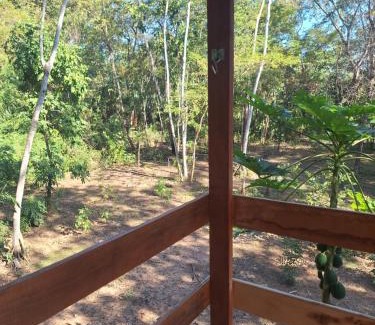 Anastacio House | Castelo dos Caramujos