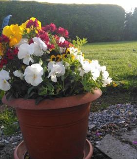 Freshford Bed & Breakfast | Castle View B&B