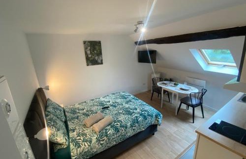 Vierzon Apartment | Cattleya location