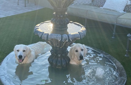 Cave Creek Cottage | Cave Creek Casita❤️ 1 bedroom on seasonal creek-views-hot tub