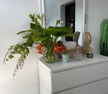 Tirgu Neamt Apartment | Cazare apartamente LAVI-TOUR Tg Neamț