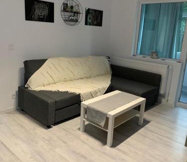 Barlad Apartment | Cazare barlad