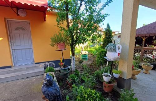 Cobadin House | Cazare Schitul Sf Gherasim