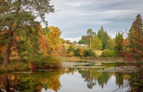Cranbrook House | Cedar Cabin Overlooking Bedgebury Forest