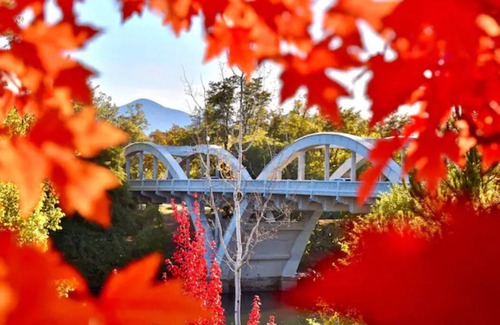 Grants Pass House | Cedar Mountain - Suite B