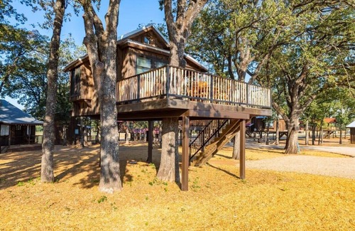 Elm Mott RV Rental | Cedar Waxwing Treehouse(15 MIN to Magnolia/Baylor)