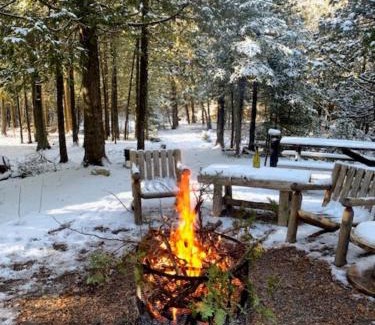 Northern Bruce Peninsula Bed & Breakfast | Cedarstone Woods B&B