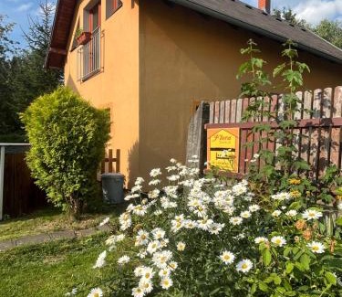 Janov Apartment | Celý dům FLORA v Českosaském Švýcarsku