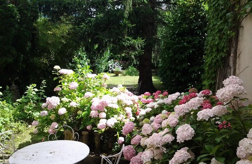 Bagneres-de-Luchon Apartment | Center of Bagnères de Luchon, gd T2/3 (65m²) of independent character, with garden.