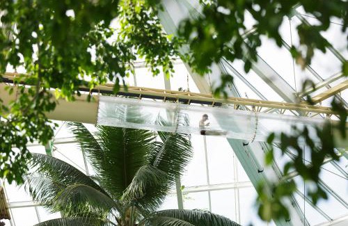 Lommel Hotel | Center Parcs Vossemeren