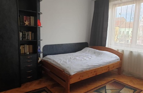 Tirgu Mures Apartment | Center View