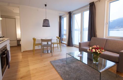 Gamle Oslo Apartment | Central and modern apartment. Fully equipped and furnished.