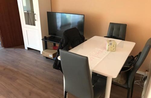 Saarbruecken Apartment | Central-Apartment-Adria