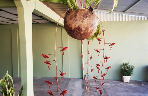 Canas Apartment | Central apartments 1 hour from the beaches of Guanacaste, volcanoes, parks.