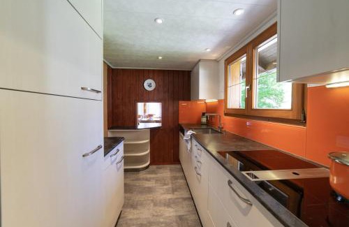 Wildhaus House | Central