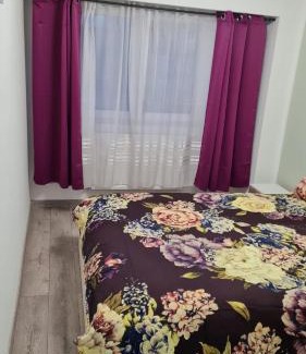 Sighetu Marmatiei Apartment | Central Flat