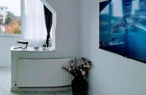 Pitesti Apartment | Central Lux 2 camere-parcare gratuita, check-in cifru