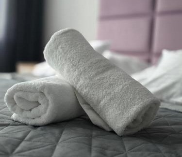 Srodmiescie Apartment | Central Park Green Apartament