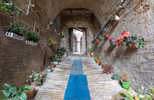 Siena Historical Center Apartment | Central Small Studio Apartment
