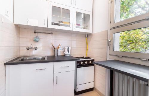 Szekesfehervar Apartment | Central Studio Apartment