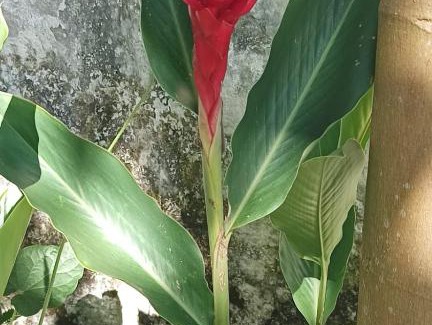 Rivera Hotel | CENTRO RECREACIONAL VILLA CLARITA