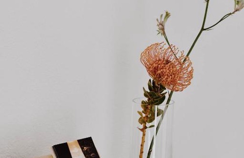 Birstonas Apartment | Centro SPA Atostogų namai