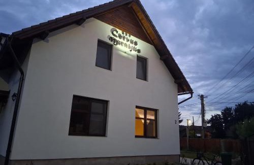 Covasna Bed & Breakfast | Cervus Mirabilis