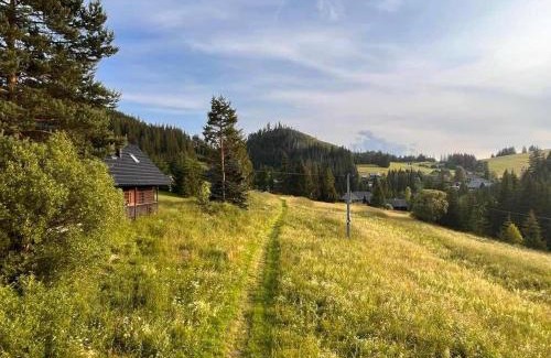 Huty House | Cesta z mesta na Huty